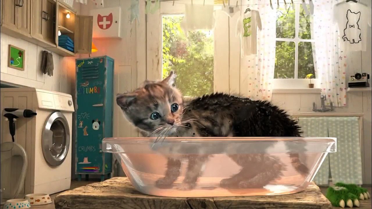 Kleines Kätzchen - Ein süßes Katzen Spiel für Kinder (deutsch)