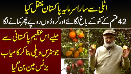 42 Types Ke Oranges Ke Garden,Millions Ka Profit - Citrus Valley Se Businessman Banne Wala Pakistani