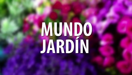 Mundo jardín | ¿Cómo realizar un abono orgánico para las plantas? - Nex Panamá