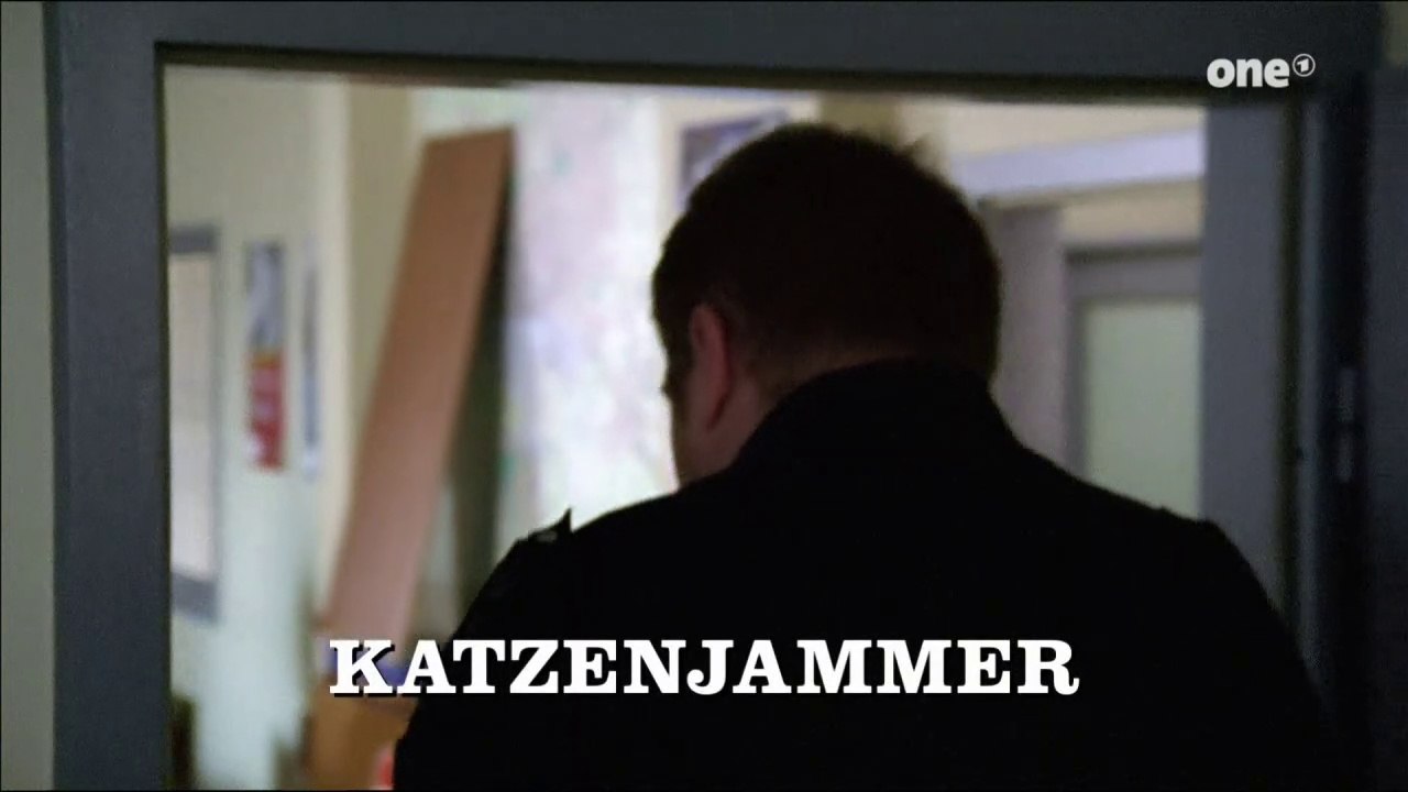 Großstadtrevier - 304. Katzenjammer