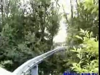 -Nigloland- Les Dragons Volants