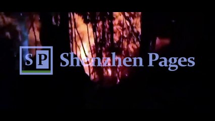 Massive mountain fire broke out in Nanshan district, Shenzhen