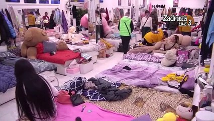 Zadruga 4 / Ša  vratila produkcija i evoga se grli sa Tarom