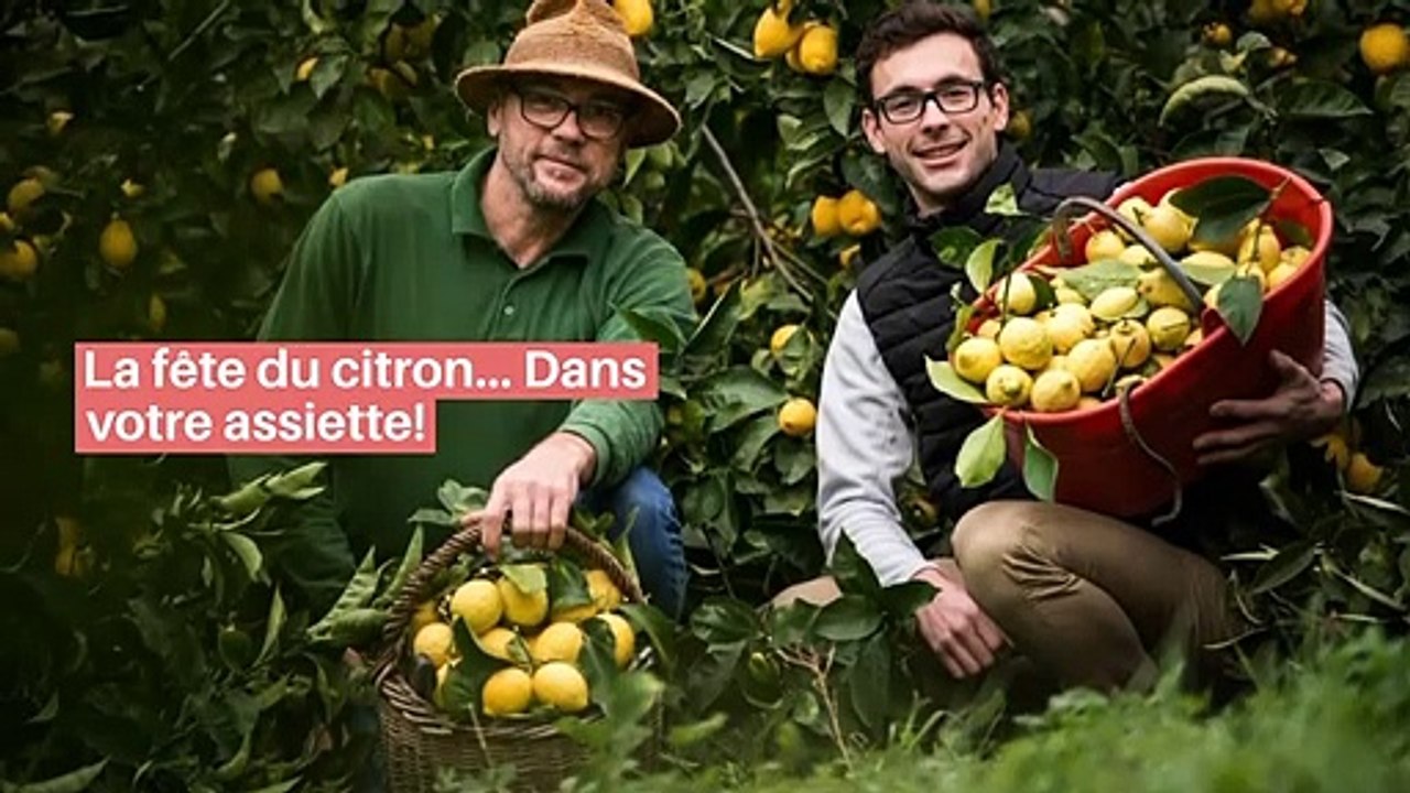 La fête du citron… Dans votre assiette!_IN