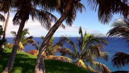 #Remix #Reggaeton 2021 fiestas y playa