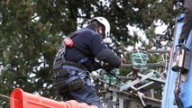 Quinze agents Enedis travaillent sur les lignes sous tension dans la Loire