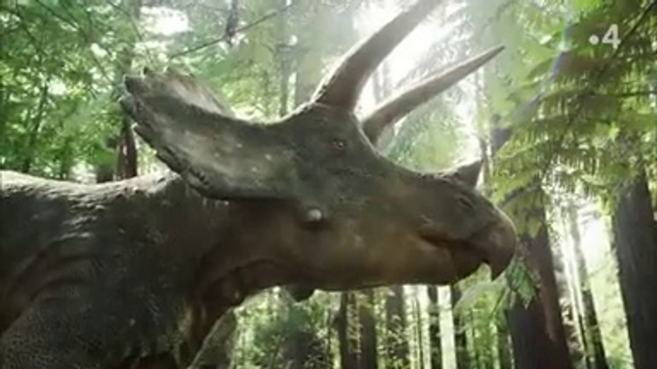 Les aventures des Ceratops