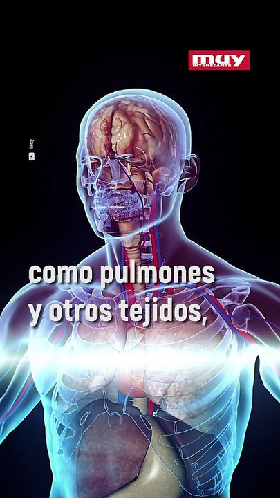 MUY_bostezo_VER1