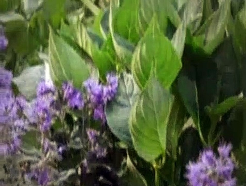 Waking The Dead Season 6 Episode 5 Double Bind part2