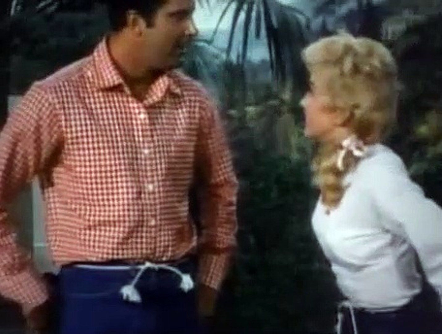 The Beverly Hillbillies Season 5 Episode 6 The Gorilla Video Dailymotion