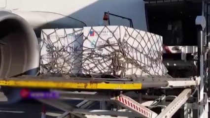 미국·영국 백신 거부한 이란에 러시아산 백신 첫 공급 / YTN
