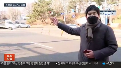 팔 붙잡고 "차 세워"…올림픽대로 공포의 질주