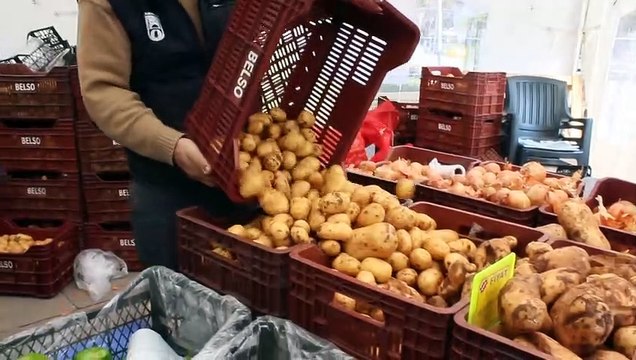 Vatandaş 'Tanzim satış noktaları' ile nefes aldı! Piyasada fiyatlar yarı yarıya düştü