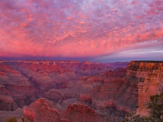 PINK SNAKES! Weird things about the Grand Canyon - ABC15 Digital