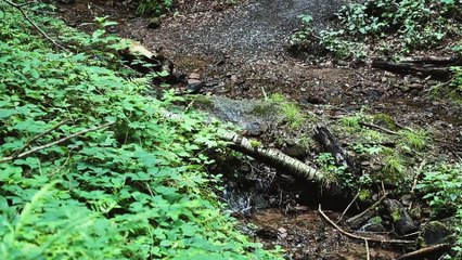 Travel Guide Heidelberg,Germany -Places4you