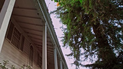 ROOMMATE WANTED Trailer (2020)