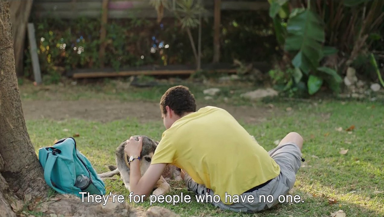Here We Are Trailer