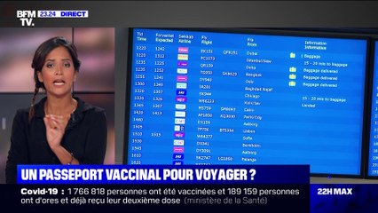 Le choix de Max: vers un passeport vaccinal pour voyager ? - 04/02