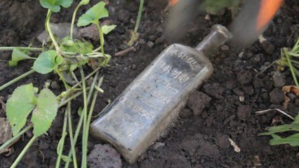 Metal Detecting Genealogy