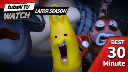 RANDOM PLAY I Watch 30 minutes a day!! I Ep.52I Larva Cartoon I Larva Official Channel  I part.1