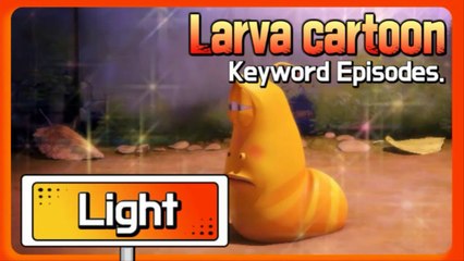 KEYWORD CARTOON | Light | Larva Official Channel | Best animation