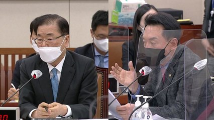 [영상] 김석기 "한중 정상회담 통화서 美 싫어하는 말만 골라 해"...정의용 대답은? / YTN