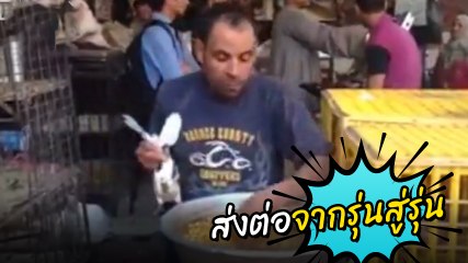 เทคนิคการให้อาหารนกพิราบ จาก 3,000 ปีที่แล้ว ทำตะลึงกันทั้งโซเชียล