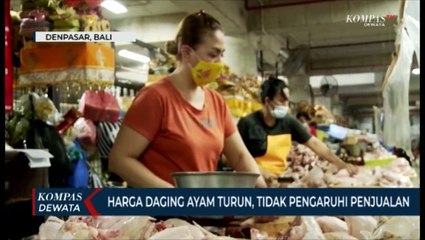 Download Video: Harga Ayam Turun Drastis, Tapi Sepi Pembeli