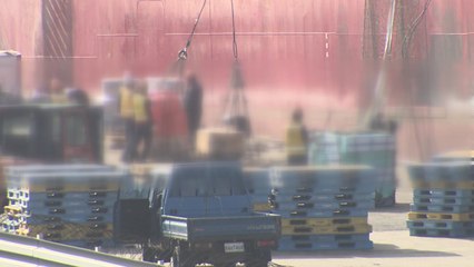 하역 노동자 집단 감염, 해외 유입 가능성 있어 / YTN