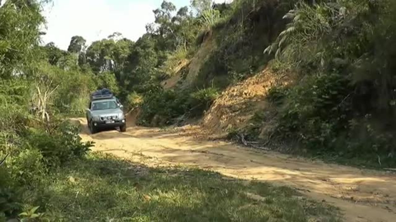 La lista de animales más diminutos del planeta tiene un nuevo líder