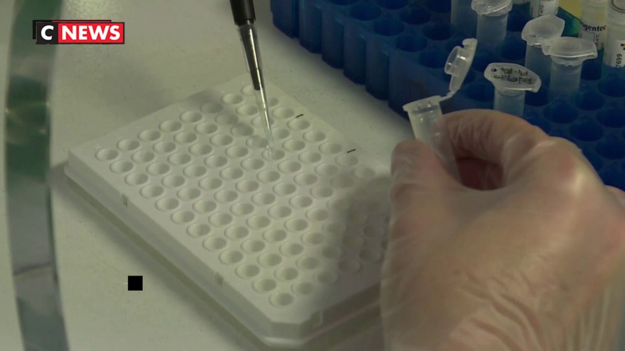 Variant brésilien : 4 cas détectés en France