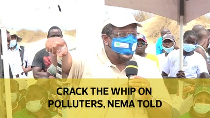 Crack the whip on polluters, Nema told