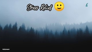 40 Minutes Mediation Music, Relaxing Music, Calming Music, Stress Relief Music, Study Music, eas