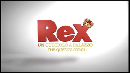 REX - UN CUCCIOLO A PALAZZO Guarda Streaming ITA