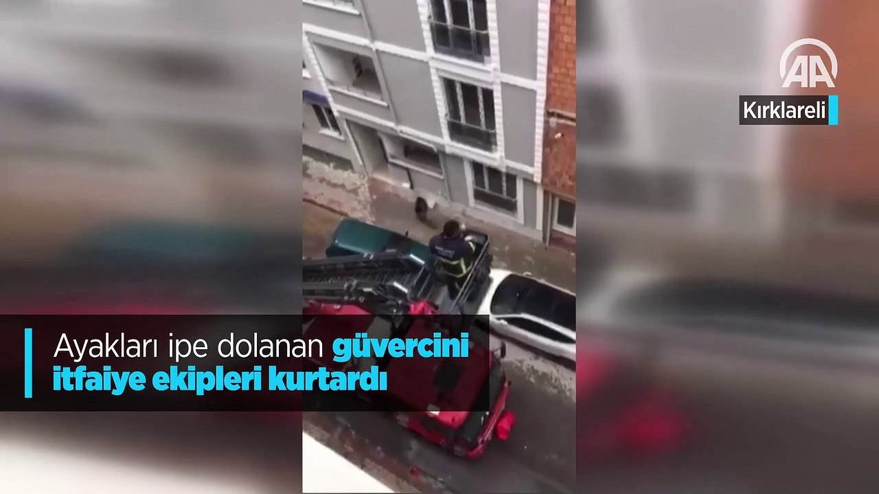 Ayakları ipe dolanan güvercini itfaiye ekipleri kurtardı