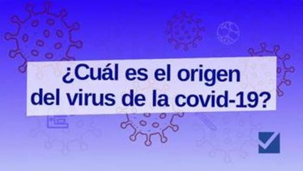 ¿Qué sabemos del origen del SARS-CoV-2?