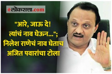 "आरे, जाऊ दे! त्यांचं नाव घेऊन..."; निलेश राणेचं नाव घेताच अजित पवारांचा टोला