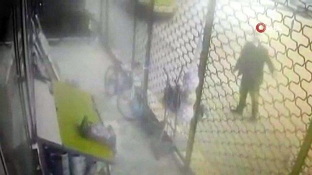 Sürü halinde dolaşan köpeklerin saldırısına çantasıyla direndi