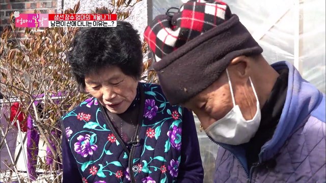 아픈 엄마를 위해 몸에 좋은 약초 총집합!! TV CHOSUN 20210206 방송