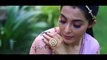 Actress Paro Nair looks hot in Saree Photoshoot HD Video | The Insight NOW