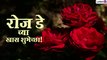 Happy Rose Day Wishes In Marathi: रोज डे च्या शुभेच्छा WhatsApp Status, HD Image, Facebook Messages