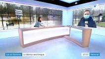 Inondations dans le Lot-et-Garonne : à Marmande, la décrue s'accélère et l'heure est au nettoyage