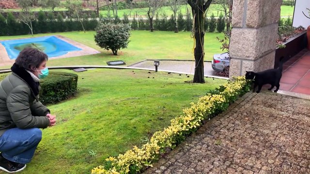 Невосполнимые потери Португалии