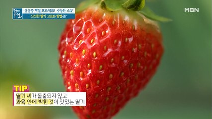 신선한 딸기 고르는 꿀팁☆