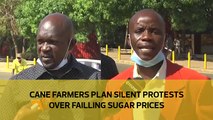 Cane farmers plan silent protests over falling sugar prices