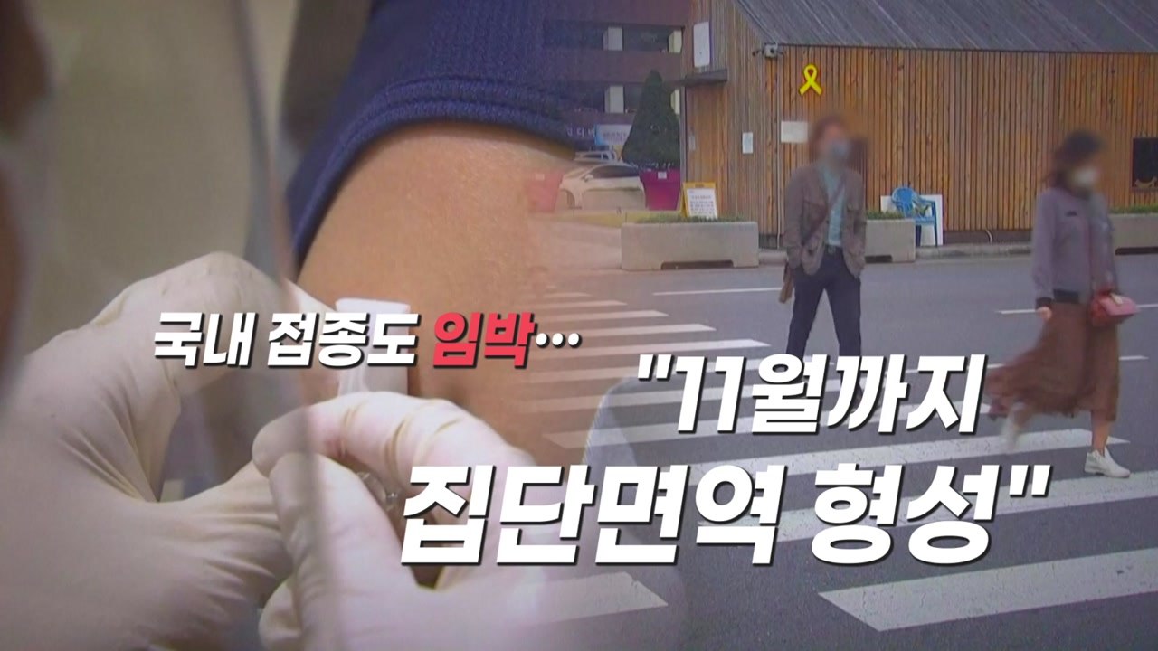 [영상] 국내 접종도 임박..."11월까지 집단면역 형성" / YTN