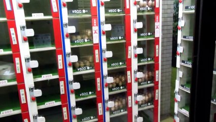 Egg Vending Machines in Japan
