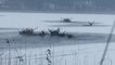 Pologne : des cerfs prisonniers d'un lac gelé