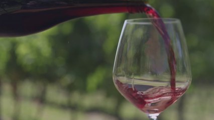 Alcool : ambiguïté autour des étiquettes des bouteilles de vin