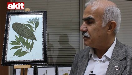 O sergide, kutsal topraklardan kopartılan 'yaprak' da var!